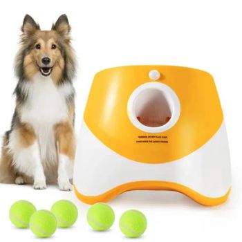 Automatic Dog Tennis Ball Launcher Dog Training Toys Eco-Friendly Material Pet Interactive Toys - Guangdong Bole Road Marking facilities Co., Ltd. - China