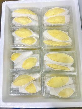 Fresh Whole Grade AB Monthong Durian (Available as whole or as unshelled) from Thailand - Royex Trading Ltd. - Thailand