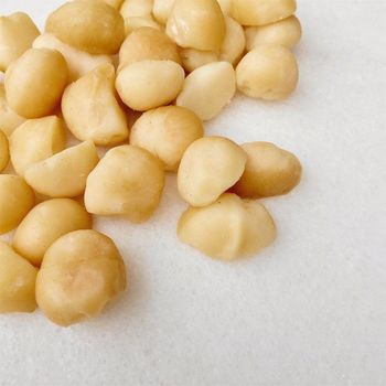 High Kernel Ratio 95% Macadamia Nuts Bulk Supply Macadamia Nuts With Rich Natural Taste And Clean Processing For Import Markets - THE GREEN INTERNATIONAL LIMITED - Tanzania
