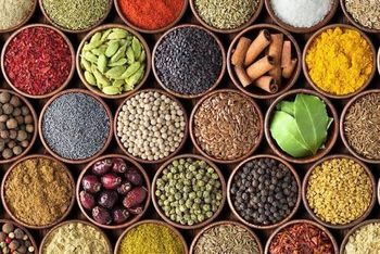 Premium Indonesian Spices – Cinnamon, Black & White Pepper, Nutmeg, Clove, Coriander, Candlenut, Cashew Nut, Vanilla, Mace, Ginger, Galangal, Turmeric & More | Export Quality - Lumora Export Indonesia - Indonesia