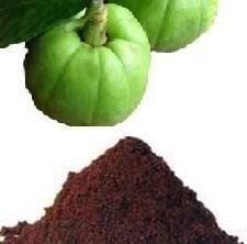 Garcinia cambogia from GURU HERBS AND AYURVEDA Garcinia cambogia - GURU HERBS AND AYURVEDA - India