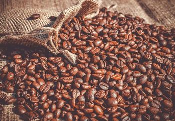Roasted Coffee Bean Organic Yes Decaffeinated No Bean Type Arabica, Robusta - PT Dwi Septi Anugerah - Indonesia