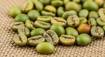 Premium Green Coffee Beans Wholesale | Bulk Arabica Coffee and Robusta Coffee Beans - Kilifarmick Joinuts Corporation Limited - Kenya