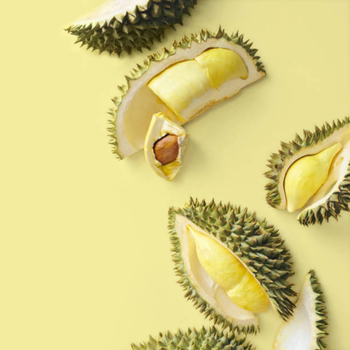 Wholesaler Fresh Durian Monthong Fresh Durians Organic Packed In Box Vietnam, King Durian Frozen Meat Monthong Durian - RHINO TRAN CO., LTD - Vietnam