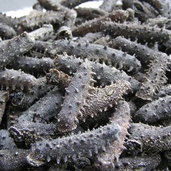 Wholesale dried sea cucumber high quality fresh and natural taste - TANIS IMPORT & EXPORT COMPANY LIMITED - Vietnam