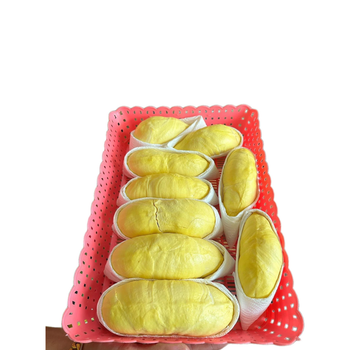 Wholesaler Fresh Durian Monthong Eat Directly Sweet ,Durians, Flesh Durian Organic Packed In Box Vietnam Manufacturer - RHINO TRAN CO., LTD - Vietnam