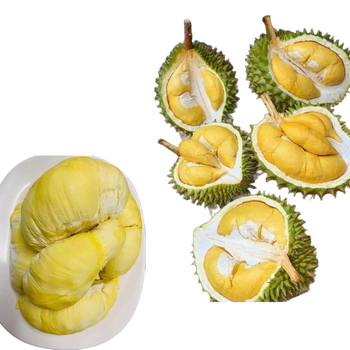 The Best Fresh Durian , Tropical Fruit, Vietnam Export products to China, Thailand, Malaysia, Turkey - RHINO TRAN CO., LTD - Vietnam