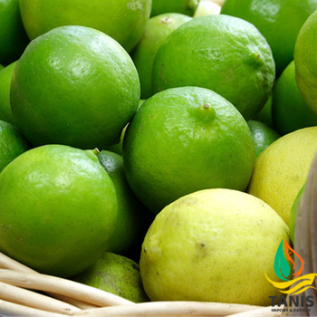 Fresh Persian Lime Premium quality Lemon packing in 6kg bag size 5-6 cm - TANIS IMPORT & EXPORT COMPANY LIMITED - Vietnam