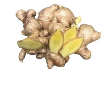 Best Price Ginger Keep Dry Or Refrigerated Old Organic Packed In Box Vietnam Manufacturer Frozen Vegetable - RHINO TRAN CO., LTD - Vietnam