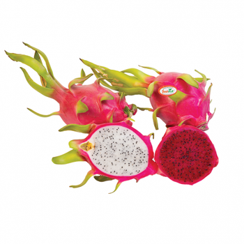 Vietnam Fresh Dragon Fruit Wholesale Pitaya Fruit Vietnam for Export Red/White Flesh - TANIS IMPORT & EXPORT COMPANY LIMITED - Vietnam