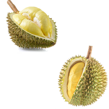 Wholesaler Fresh Durian Monthong Fresh Durians Organic King Durian Frozen Meat Durian Fruit King Of Fruit - RHINO TRAN CO., LTD - Vietnam