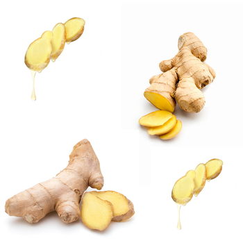 Best Price Ginger Keep Dry Or Refrigerated Old Organic Ginger Hot Ginger Dry Ginger From Vietnam Fresh Vegetables - RHINO TRAN CO., LTD - Vietnam