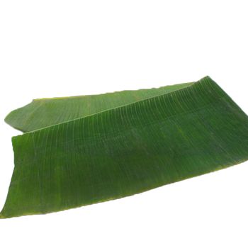 VIETNAM BANANA LEAF SUPPLIER - HIGH-QUALITY EXPORTER - TANIS IMPORT & EXPORT COMPANY LIMITED - Vietnam