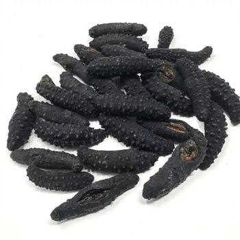 Premium quality for dry sea cucumber, sea cucumber dry with best price - TANIS IMPORT & EXPORT COMPANY LIMITED - Vietnam