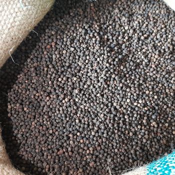 Black Pepper Black Pepper Powder Spices Mixed Yellow Bag Top Vietnamese Hot Style Packing Food - EXPO COMMODITIES (VIET NAM) COMPANY LIMITED - Vietnam