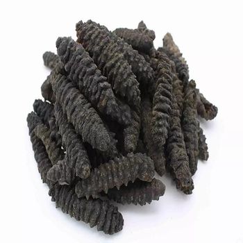 Price at farms of dried sea cucumber best quality for export - TANIS IMPORT & EXPORT COMPANY LIMITED - Vietnam