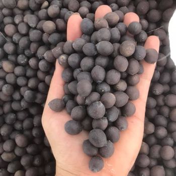 Vietnam lotus seeds excellent quality with the lowest prices Shelf Life 2 Model Number 01 Address Vietnam Content lotus - EXPO COMMODITIES (VIET NAM) COMPANY LIMITED - Vietnam