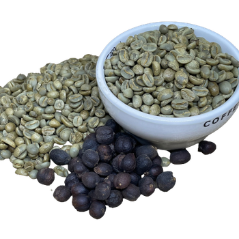 Arabica Green Coffee Beans Vietnamese Export Quality Processing on Demands Arabica Raw Coffee Beans Bulk Bag Packaging - VIET COFFEE COMPANY LIMITED - Vietnam