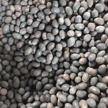 Vietnam dried lotus seeds cleaned grade cheapest prices Shelf Life 2 Model Number 01 Address Vietnam Content lotus seed Ingredients lotus - EXPO COMMODITIES (VIET NAM) COMPANY LIMITED - Vietnam