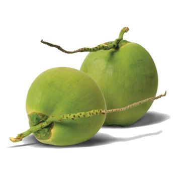 Fresh young coconut Brix 7 - 9 high quality origin Ben Tre Viet Nam export products 100% natural sweet coconut - DAI HUNG PHAT EXCHANGE TRANSPORT AND TRADING JOINT STOCK COMPANY - Vietnam