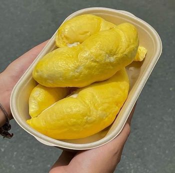 The Best Fresh Durian Ri6, Tropical Fruit, Organic fruits Organic Packed In Box Vietnam Manufacturer - RHINO TRAN CO., LTD - Vietnam