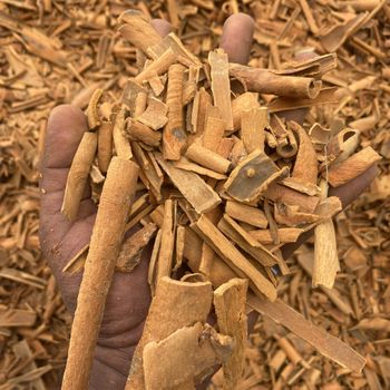 Broken Cassia Cinnamon Yenbai Vietnam Cassia Powder Spices Mixed Yellow Bag Top Vietnam Hot Style Packing Cassia - EXPO COMMODITIES (VIET NAM) COMPANY LIMITED - Vietnam