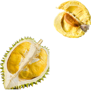 The Best Fresh Durian , Tropical Fruit, Vietnam Export products to China, Thailand, Malaysia, Turkey Frozen Durian - RHINO TRAN CO., LTD - Vietnam
