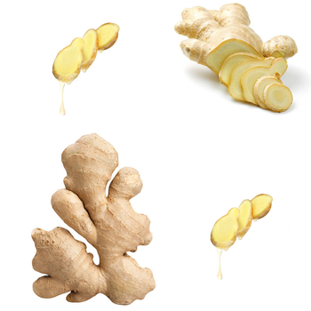 Hot Item Ginger Fresh Ginger For Sale Old Organic Ginger Jar , Ginger For Sale Vietnamese Fresh Vegetables - RHINO TRAN CO., LTD - Vietnam