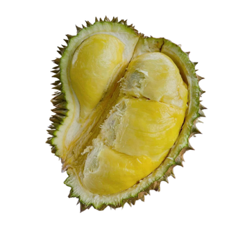 Wholesaler Fresh Durian Monthong Fresh Durians Organic Packed In Box Vietnam Manufacturer, King Durian - RHINO TRAN CO., LTD - Vietnam