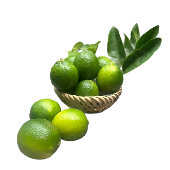 Special Item Lime Without Seed, Lime Squeezer, Green And Pale Yellow Organic Packed In Box Made In Vietnam - RHINO TRAN CO., LTD - Vietnam