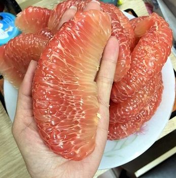 Green Grapefruit Natural Sweet Taste Fresh Pomelo Brix 10 - 13% Made In Ben Tre Vietnam Size 1.0kg to 1.8kg Export Standard - DAI HUNG PHAT EXCHANGE TRANSPORT AND TRADING JOINT STOCK COMPANY - Vietnam