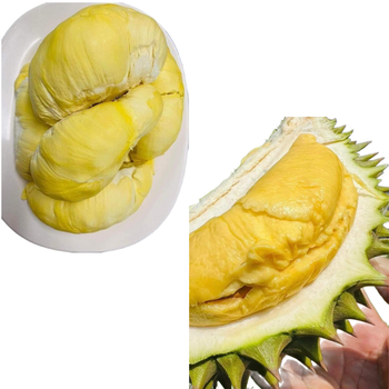 The Best Fresh Durian , Tropical Fruit, Vietnam Export products to China, Thailand, Malaysia, Turkey Frozen Meat Monthong Durian - RHINO TRAN CO., LTD - Vietnam