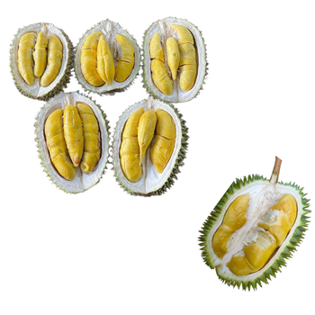 The Best Fresh Durian , Tropical Fruit, fresh durian fruit for sale Organic fruits Organic Packed In Box Vietnam Manufacturer - RHINO TRAN CO., LTD - Vietnam