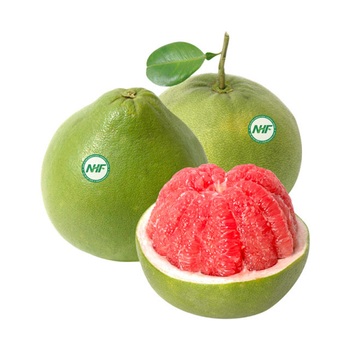 BEST PRICE FOR PREMIUM FRESH GREEN SKIN POMELO GRAPEFRUIT EXPORT FROM VIETNAM STANDARD ISO GLOBAL - NHA HUYNH AGRICULTURAL COMPANY LIMITED - Vietnam