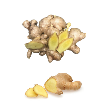 The New Ginger Keep Dry Or Refrigerated Old Organic Packed In Box Vietnam Manufacturer Export Product - RHINO TRAN CO., LTD - Vietnam