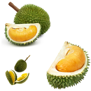 The King Fresh Durian Monthong Fresh Durians Organic Packed In Box Vietnam, King Durian Frozen Meat Monthong Durian - RHINO TRAN CO., LTD - Vietnam