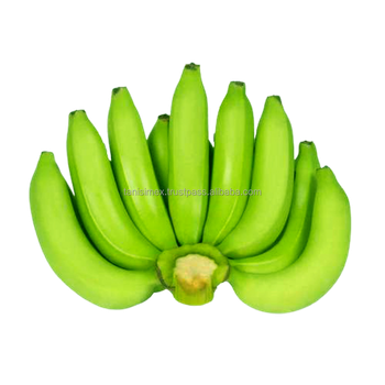 PREMIUM FRESH CAVENDISH BANANAS FOR BULK ORDERS - WHOLESALE PRICES from TANIS IMPORT & EXPORT COMPANY LIMITED PREMIUM FRESH CAVENDISH BANANAS FOR BULK ORDERS - WHOLESALE PRICES - TANIS IMPORT & EXPORT COMPANY LIMITED - Vietnam