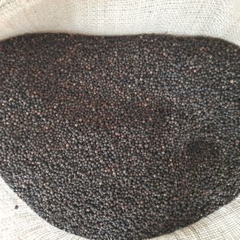 Black Pepper 500gl faq Spices Mixed Yellow Bag Top Vietnam Hot Style Packing Food Cooking Spice Herbs Weight Form Pepper Powde - EXPO COMMODITIES (VIET NAM) COMPANY LIMITED - Vietnam