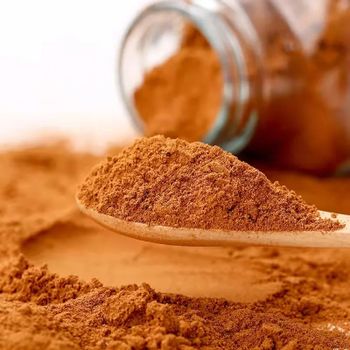 Vietnam cassia cinnamon powder spicy - EXPO COMMODITIES (VIET NAM) COMPANY LIMITED - Vietnam