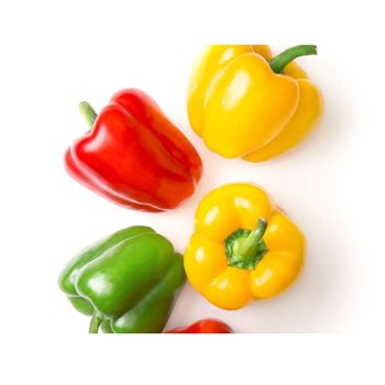 100% Maturity Capsicum 30 Days Shelf Life Smooth Skin Food Cooking Direct Usage Agriculture Fresh Bell Pepper - MTL LAM DONG AGRICULTURE EXPORT COMPANY LIMITED - Vietnam