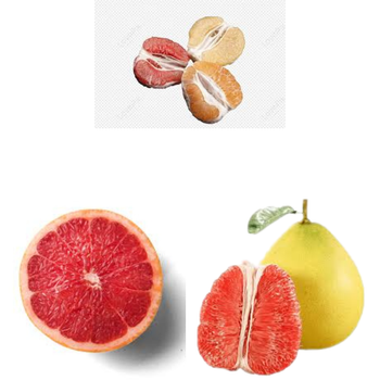 High Quality Honey Pomelo Fruit Fresh Citrus Fruit Red Pomelo Sweet Taste Yellow Pomelo Organic VietNam Export Fruit - RHINO TRAN CO., LTD - Vietnam