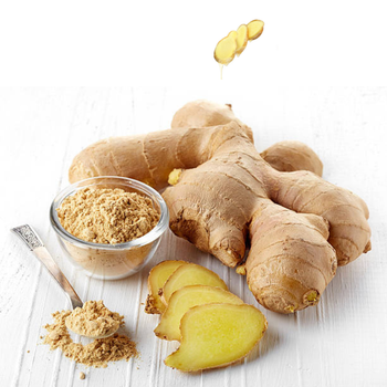 Good Quality Ginger Keep Dry Or Refrigerated Old Organic Packed In Box Fresh Vegetables, Hot Ginger - RHINO TRAN CO., LTD - Vietnam