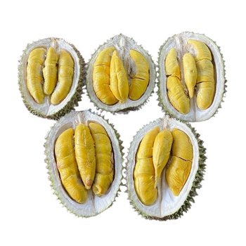 The Best Fresh Durian Ri6, Durian fruit , Frozen Durian, Organic Packed In Box Vietnam Manufacturer – product photo, Frozen Whole Durian products found from trusted suppliers, wholesalers, manufacturers & exporters Listing