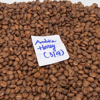 Hot Selling Ground Coffee Type Premium Grade Arabica Coffee Beans Size 16 Green 60 Kg Honey COMMON Cultivation - HIGHLAND TROPICO COFFEE COMPANY LIMITED - Vietnam
