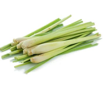 Premium Quality Frozen Whole Lemon Grass from Vietnamese Supplier at wholesales price for export - TANIS IMPORT & EXPORT COMPANY LIMITED - Vietnam