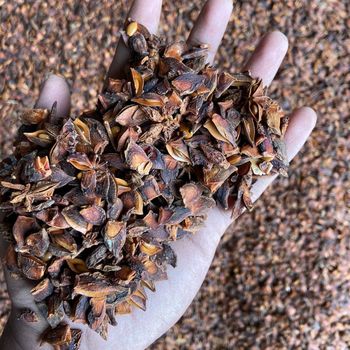 Best Price Dried Broken Star Anise Low Price Hot Style Packing Food Ingredients Vietnam Star Anise - EXPO COMMODITIES (VIET NAM) COMPANY LIMITED - Vietnam