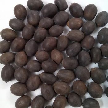 Vietnam lotus flower seeds sorted type Shelf Life 2 Model Number 01 Address Vietnam Content lotus seed Ingredients lotus - EXPO COMMODITIES (VIET NAM) COMPANY LIMITED - Vietnam