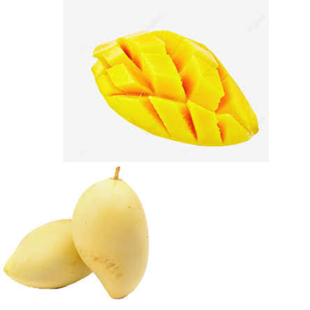 Wholesaler Fresh Green Mango Frozen Mangos Tropical Fruit Frozen Fruit Sweet Mango Vietnamese Fruit High Quality - RHINO TRAN CO., LTD - Vietnam