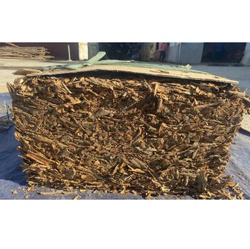 Vietnam Stick Cinnamon From Yen Bai Province High Quality Single Spices Pressed Whole Cassia Wholesale - EXPO COMMODITIES (VIET NAM) COMPANY LIMITED - Vietnam