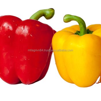 100% Maturity Capsicum Yellow Red Green Natural Sweet Taste Common Cultivation Type Agriculture Fresh Bell Pepper - MTL LAM DONG AGRICULTURE EXPORT COMPANY LIMITED - Vietnam